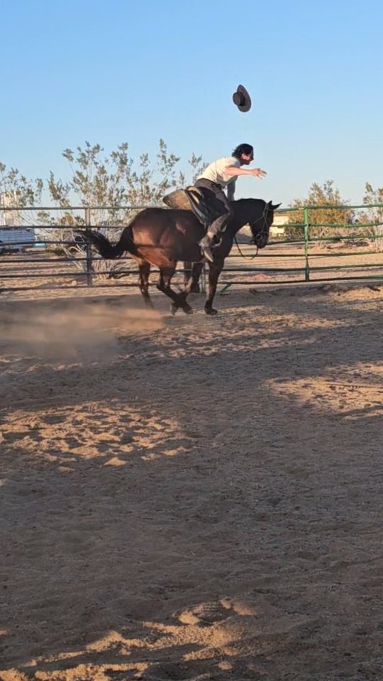 Hold on to your reins… or don’t. 🤠🐎

Today’s lesson: gravity is undefeated.

No horses or humans were harmed. Sometimes riding is elegant, graceful, and majestic… and sometimes it’s a surprise dismount with dramatic flair.

10/10 for airtime.
0/10 for sticking the landing.

Who else has experienced an “unscheduled dismount”? 🙋‍♀️ 

.

.

.

#ridingproblems #equestrianlife #walkitoff #whiterockranchhorserescue