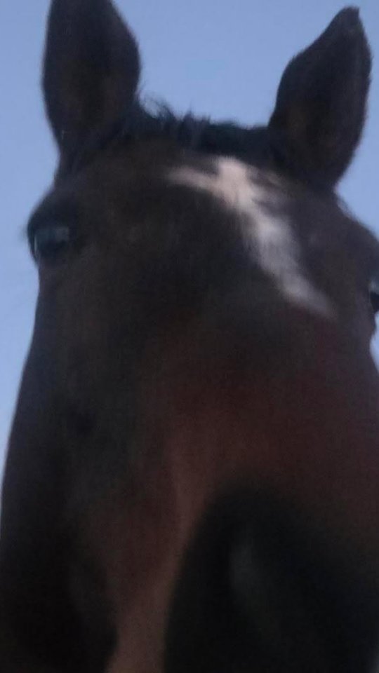 Good evening from Maverick