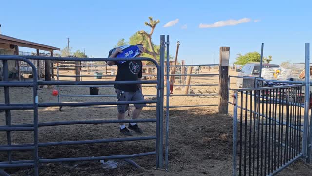 Watch us unload 1,300 pounds of horse feed

By us we mean, Gaelon. . . 

Thank you Gaelon for volunteering to go pick up our pellets from Tractor Supply and unloading them for us!! I hope you know how much we appreciate that!

 🏋💪🏻

Check out Gaelon's small business page @bowmanranchfurniture he makes really cool pet furniture and custom metal signs! 

He donates a portion of proceeds to non profits like us

.

.

#whiterockranchhorserescue #volunteer #ranchmuscles #appreciation