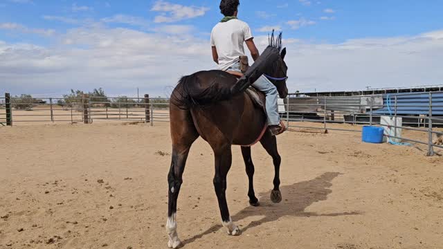 Retraining the Racehorse 

Check out Hunter's progress. 

From 2021 to 2025 this boy spent his life on the track earning over $64,000 and taking 1st place on three races.

He know how to GO!

After retiring, Hunter came to WRR where he has been transitioning into his new career as a trail horse. 

He has learned a nice walk, trot, whoa, and back up. His canter is coming along, but he is still learning that canter does not mean GO all or nothing. 

Hunter NOT available for adoption because we have already found his home with our long time volunteer, Lauren. 

We just wanted to share his progress with you.

OTTB make such great horses it just takes time and patience. 

.

.

#whiterockranchhorserescue #ottb #Racehorse #trailhorse